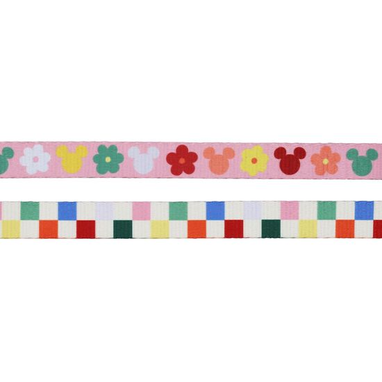 Ensemble de promenade Disney's Rainbow Frenzy pour chiens Image NaN