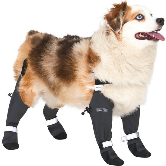 Bottes &agrave; bretelles r&eacute;fl&eacute;chissantes pour chiens Image 5.0
