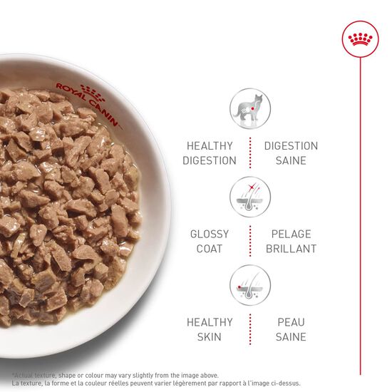 Hair & Skin Care Thin Slices In Gravy Canned Cat Food, 85 g Image 2.0