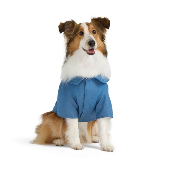 Stretch Denim Shirt for Dogs Image NaN
