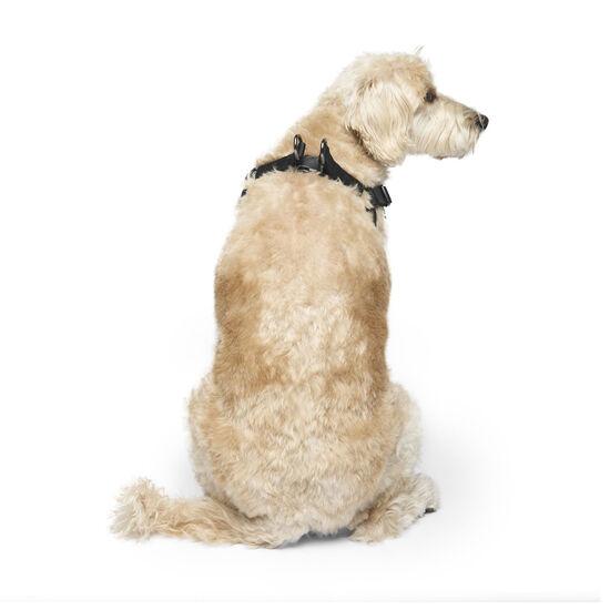 Easy-On Step-In Harness for Dogs Image NaN