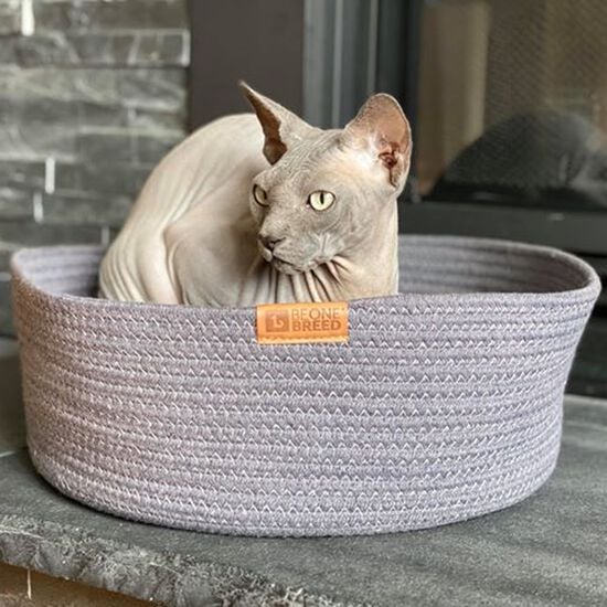 Lit réconfort pour chats, gris foncé Image NaN
