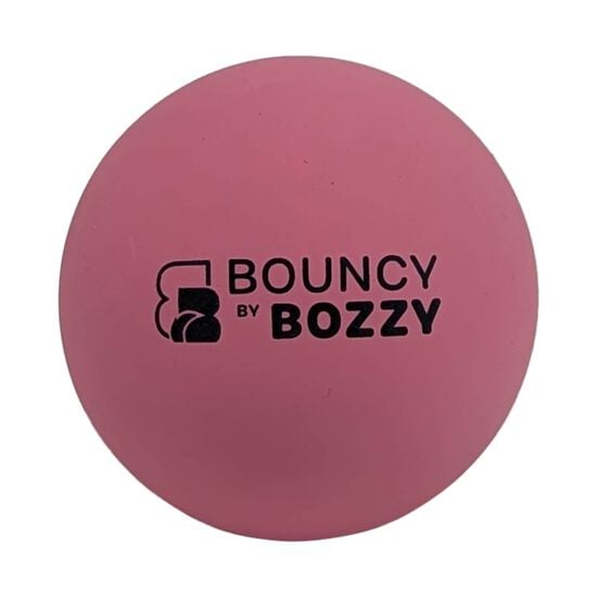 Bouncy Ball for Dogs Image NaN