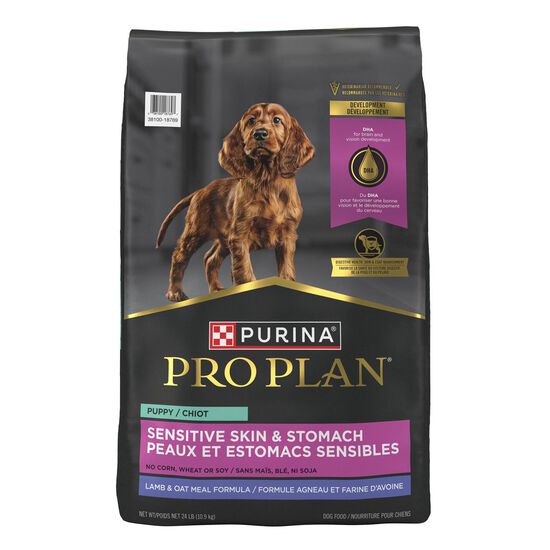 Nourriture sèche développement peaux et estomacs sensibles à l'agneau et riz pour chiots, 10,9 kg Image NaN