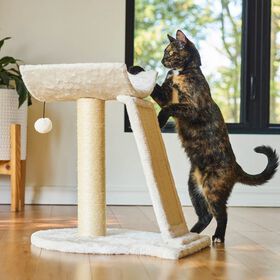 Single Tier Scratching Post with Inclined Scratcher for Cats