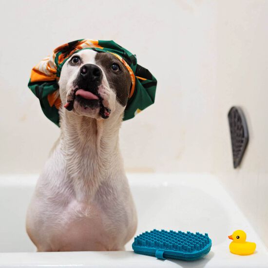 Silicone Triangle Licking Mat with Suction Image NaN