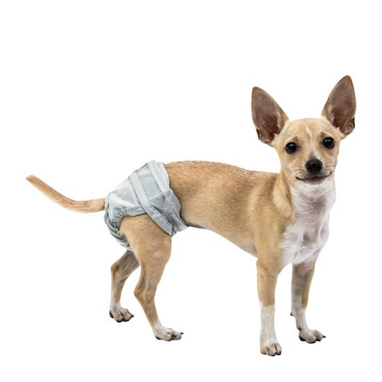 PoochPants Diaper for Dogs Image NaN