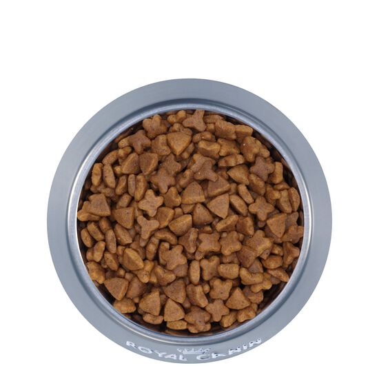 Nourriture sèche nutrition santé féline digestion sensible pour chats, 1,6 kg Image NaN