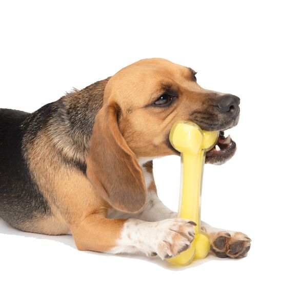 Os au parfum de noix de coco Image NaN