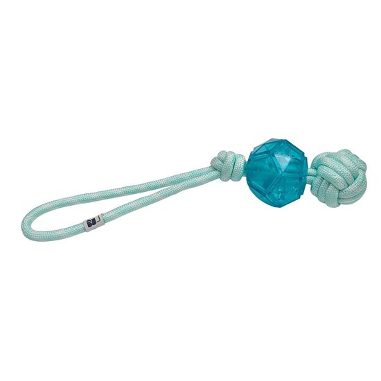 Aquatic Tug Ball for Dogs Image NaN