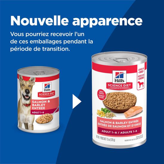 Entr&eacute;e de saumon et d&rsquo;orge pour chiens adultes Image NaN