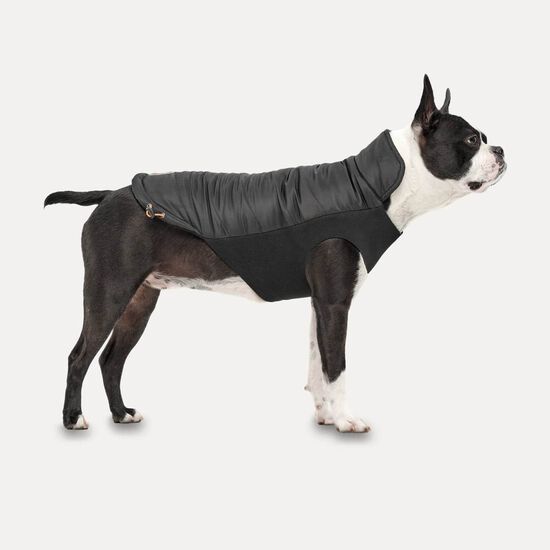 Mock Neck Signature Wrap Jacket for Dogs Image NaN
