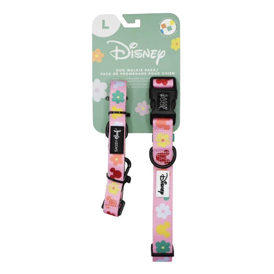 Ensemble de promenade Disney's Rainbow Frenzy pour chiens Image NaN