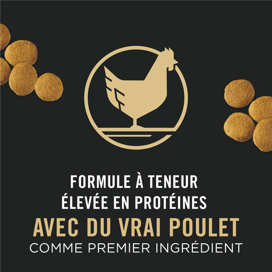 Nourriture s&egrave;che formule poulet et riz pour chiens adultes de grandes races, 21,3 kg Image NaN