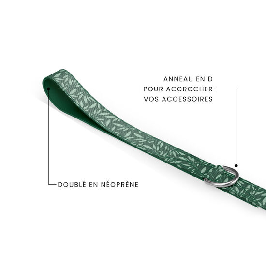 Laisse pour chiens Image NaN