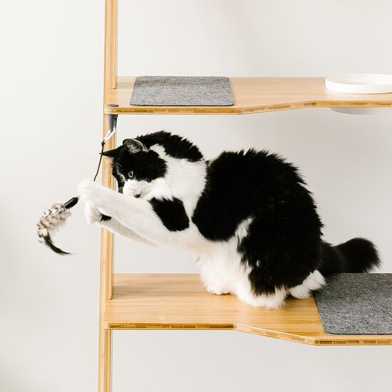 Arbre à chat échelle en bambou Image NaN