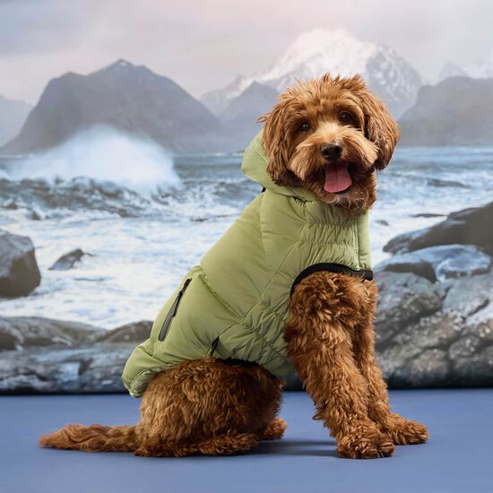 Parka Elasto-fit&reg; Storm Glide pour chiens, Mousse d&rsquo;ombre Image NaN