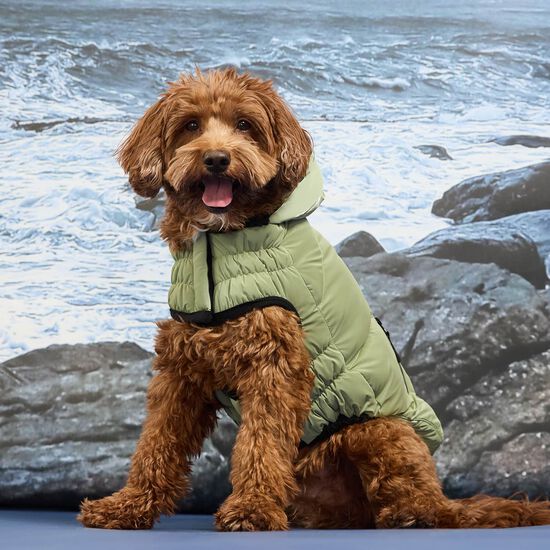 Parka Elasto-fit&reg; Storm Glide pour chiens, Mousse d&rsquo;ombre Image NaN