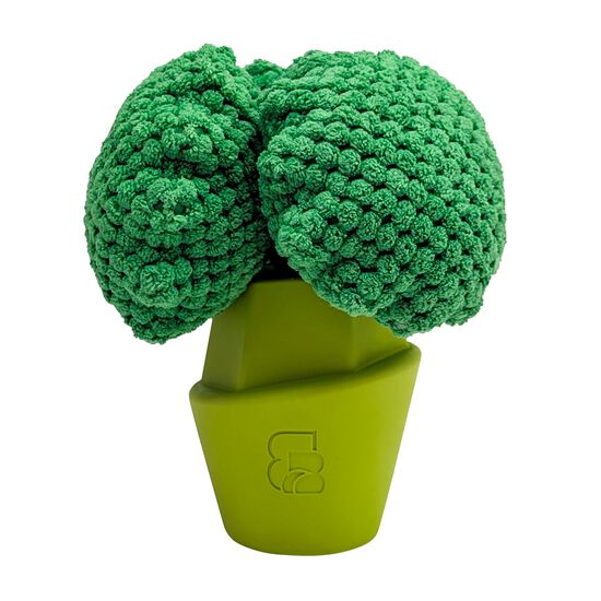 Jouet &agrave; m&acirc;cher brocoli pour chiens Image NaN