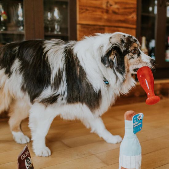 Verre à Vin Image NaN