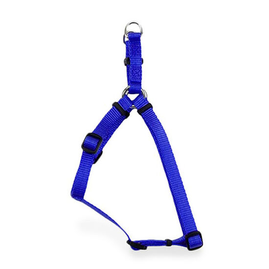 Harnais en nylon bleu Image NaN