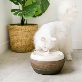 Eco fontaine 2.0