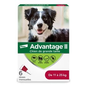 Topical Flea and Lice Protection for Dog between 11 and 25 kg, 6 pack