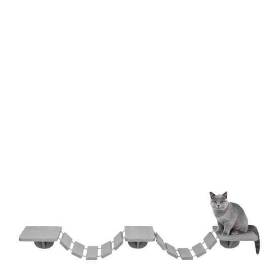 Echelle D Escalade A Montage Mural Pour Chats