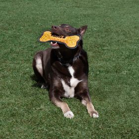 Armor&reg; Bone Toy for Dogs, Assorted