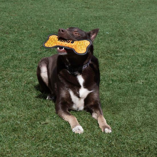 Jouet os Armor&reg; pour chiens, assortis Image NaN