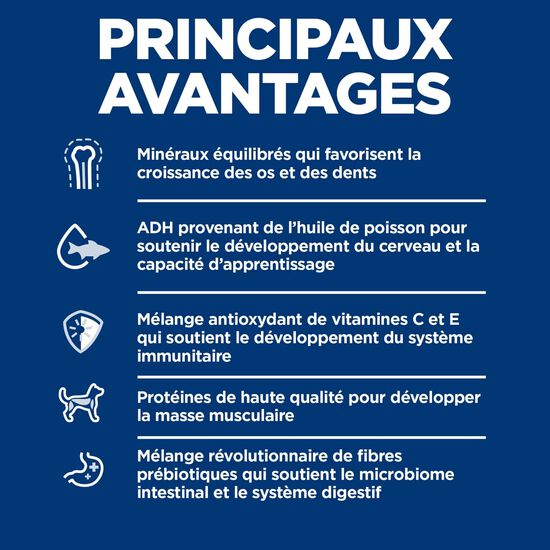 Nourriture sèche à la farine d’agneau et au riz brun pour chiots, 11,3 kg Image NaN