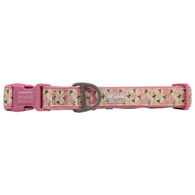 Collier en neoprene pour chiens, Champs de fleurs