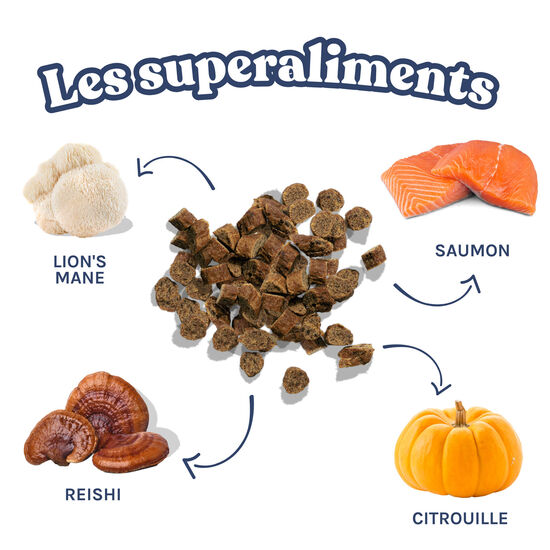 Mini Training Salmon Treats for Dogs Image NaN