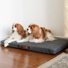 Lit hybride orthop&eacute;dique, G