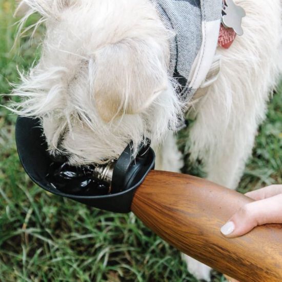 Travel Water Bowl, Onyx Image NaN