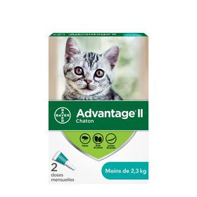 Topical flea protection for kitten - 2 pack