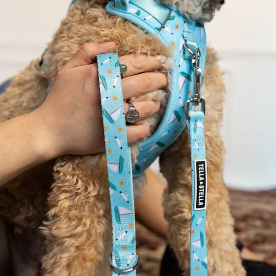 Harnais robuste avec poign&eacute;e pour chiens Image NaN