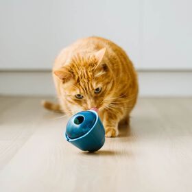 Jouet OBEE! Snak pour chats
