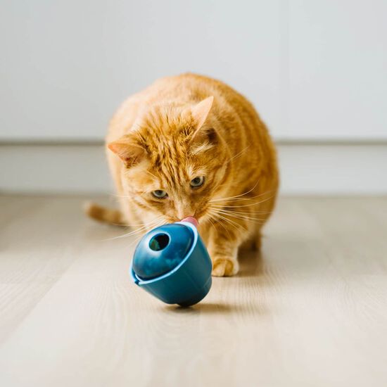 Jouet OBEE! Snak pour chats Image NaN