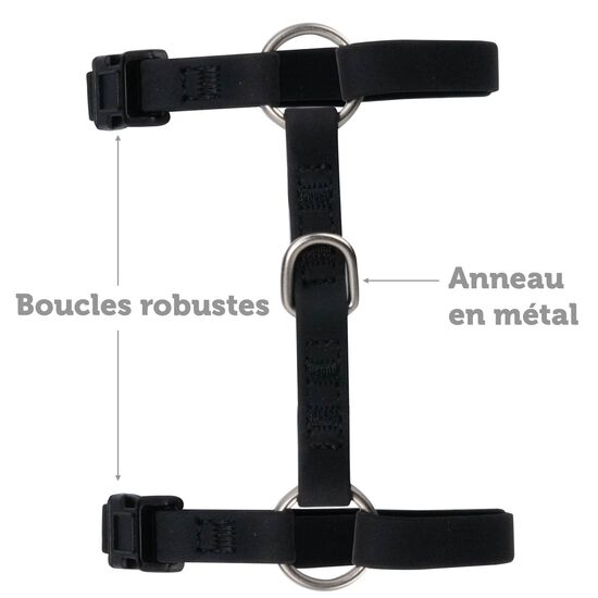 Ensemble harnais et laisse en silicone pour chats, Noir Image NaN