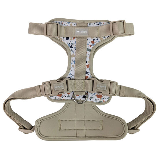 Harnais pour chiens, Terrazzo Image NaN