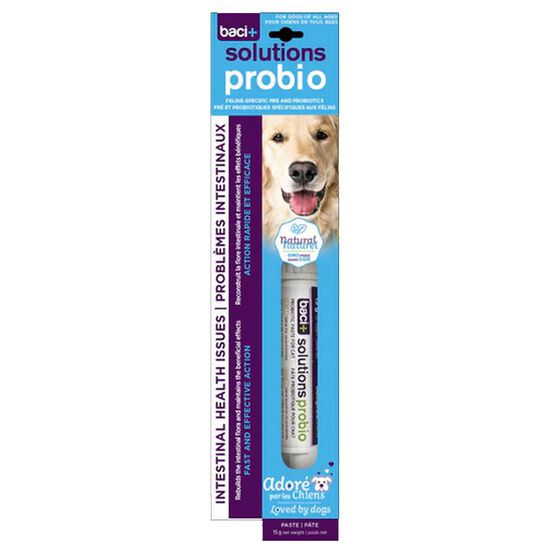Pre and Probiotics for Intestinal Problems for Dogs Image NaN