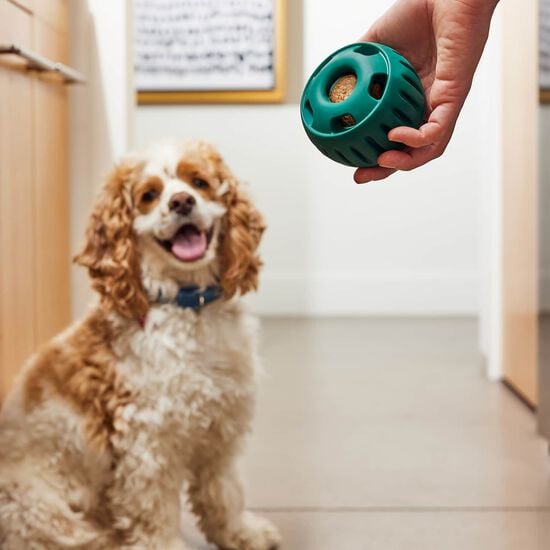 Pupsicle Toy for Dogs, Small Image NaN