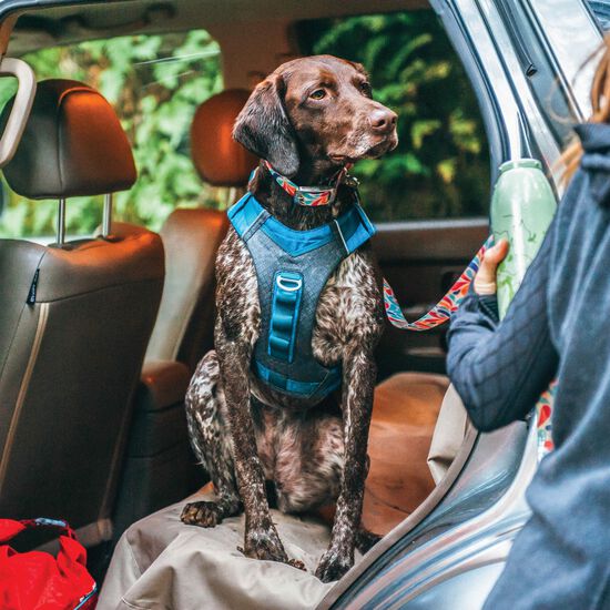 Journey Air Dog Harness Blue, S Kurgo BLU Mondou