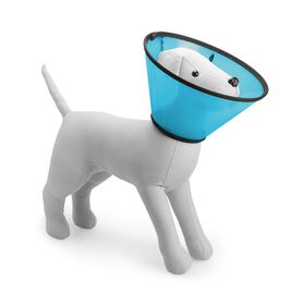 Elizabeth collar for pets