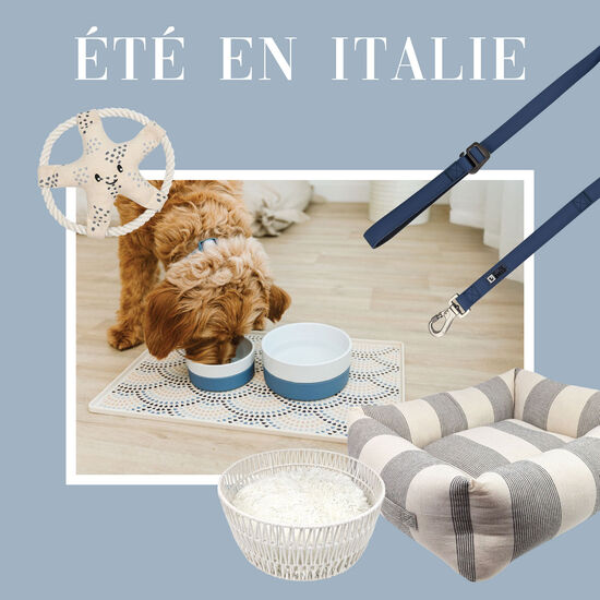 Laisse en silicone, Bleu coronet Image NaN