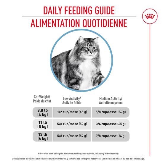 Nourriture sèche nutrition soin urinaire pour chats Image NaN