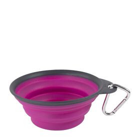 Collapsible travel bowl with carabiner, fuchsia