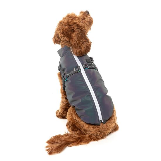 Veste flash r&eacute;fl&eacute;chissante pour chiens Image NaN