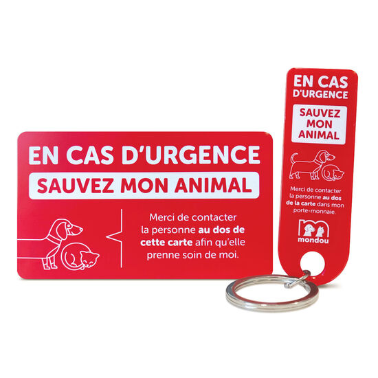 Ruzister Lot De 2 Porte-Clés De Secours 3 En 1 - Brise-Vitre, Coupe-Ceinture Et Sifflet - Orange Et Bleu